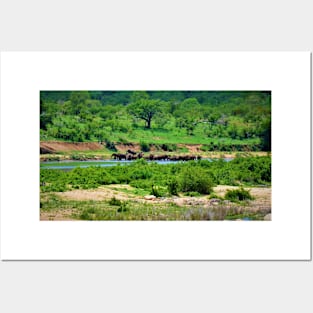 Herd of Elephants on the Crocodile River Posters and Art